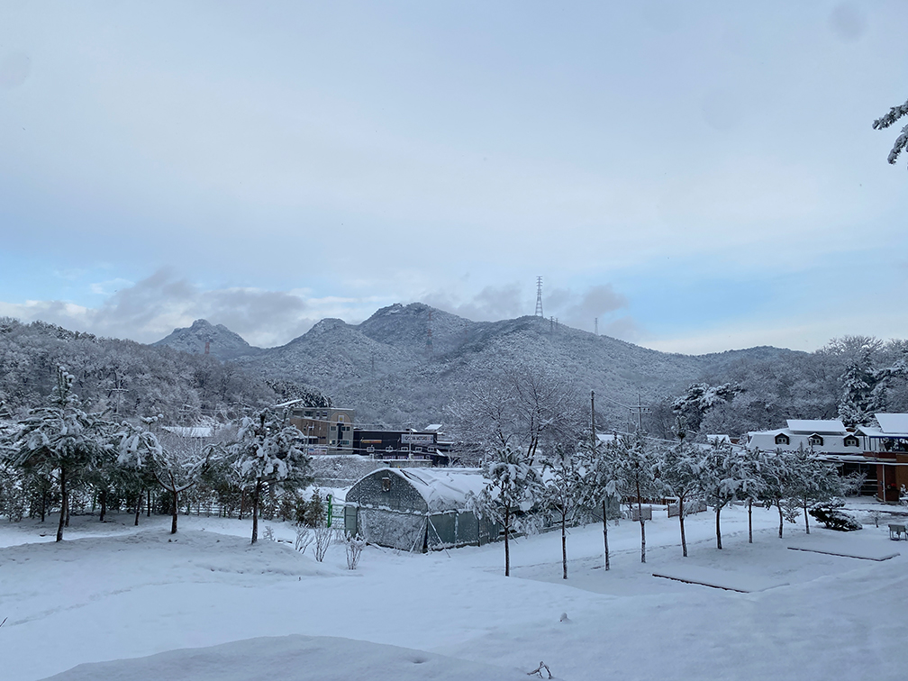 나이스 피크닉 외관