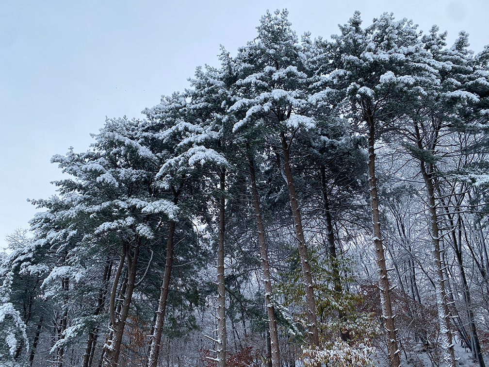 나이스 피크닉 외관