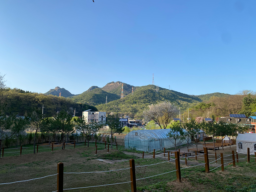 나이스 피크닉 외관