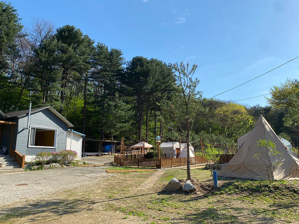 나이스 피크닉 외관